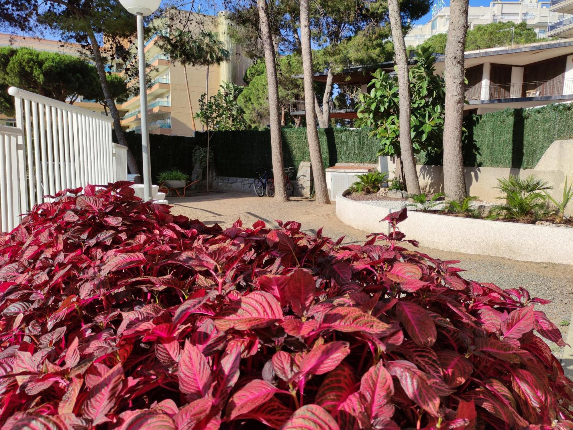 Paradis Salou, Centro Turistico, Wifi, Piscina, Vistas Al Mar Экстерьер фото